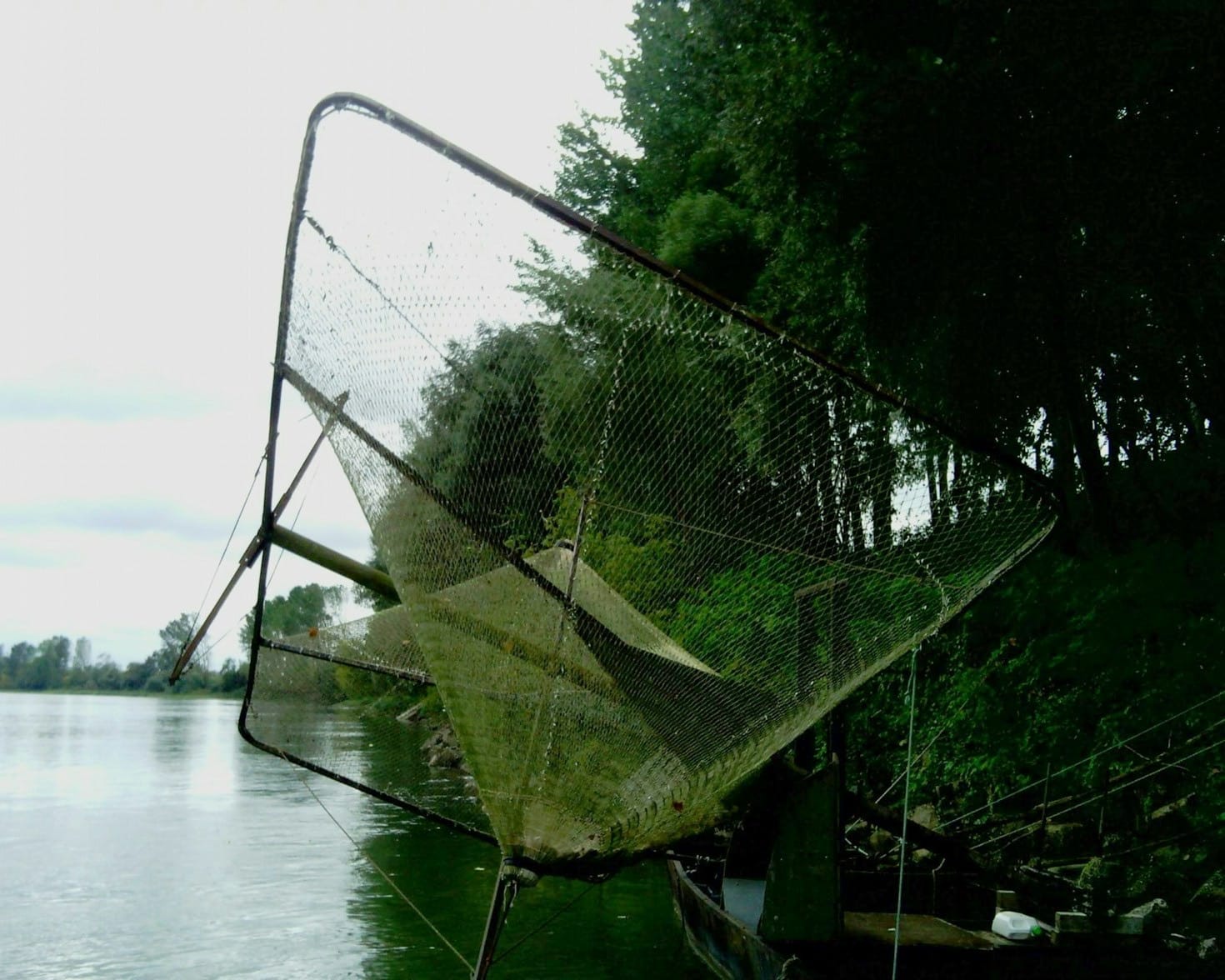 Sustainable Tourism: Protecting Mahseer in Vietnam